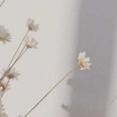 devocional blog destaques (Banner para blog)